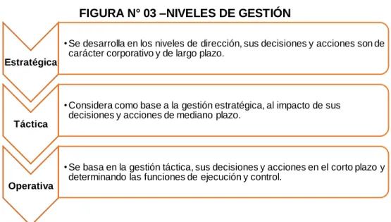 FIGURA N° 03 –NIVELES DE GESTIÓN 