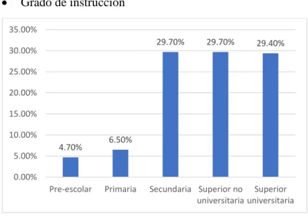 Figura 4. Grado de instrucción 