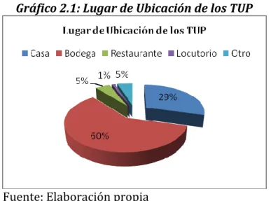 Gráfico 2.1: Lugar de Ubicación de los TUP 
