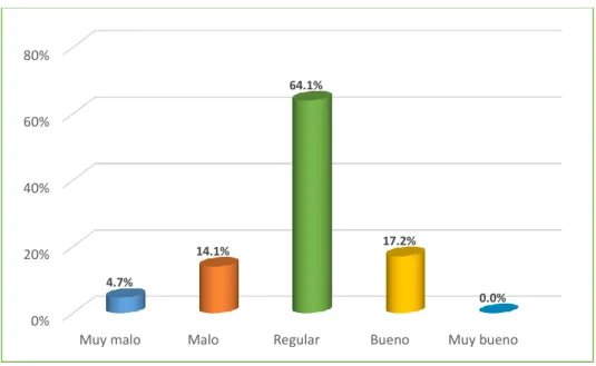 Figura 4: Actividad turística     
