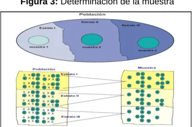 Figura 3: Determinación de la muestra 