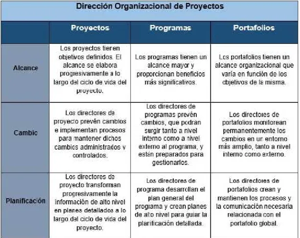 Tabla 6: Dirección organizacional de proyectos