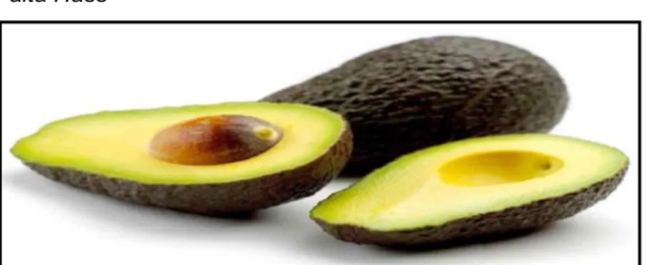 Figura 19  Palta Hass 