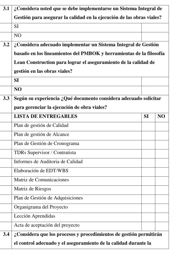 Tabla N°  10: Encuesta dirigida – Datos del Problema 