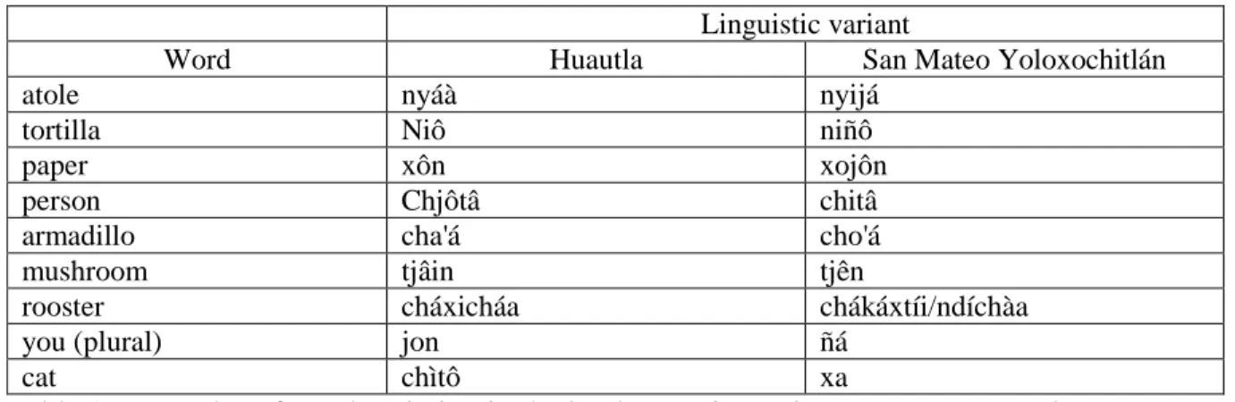 Table 1. Examples of word variation in the book Escribo mi lengua: Mazateco Alta. 