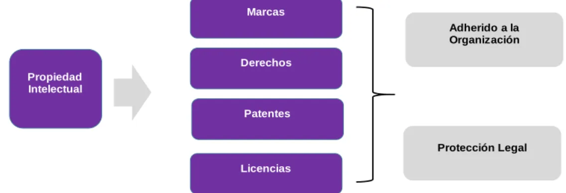 Figura 13. Clasificación de la propiedad intelectual
