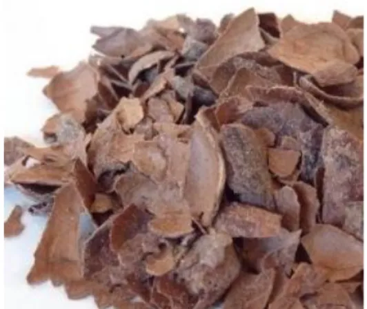 Imagen 7. Cascarilla del cacao