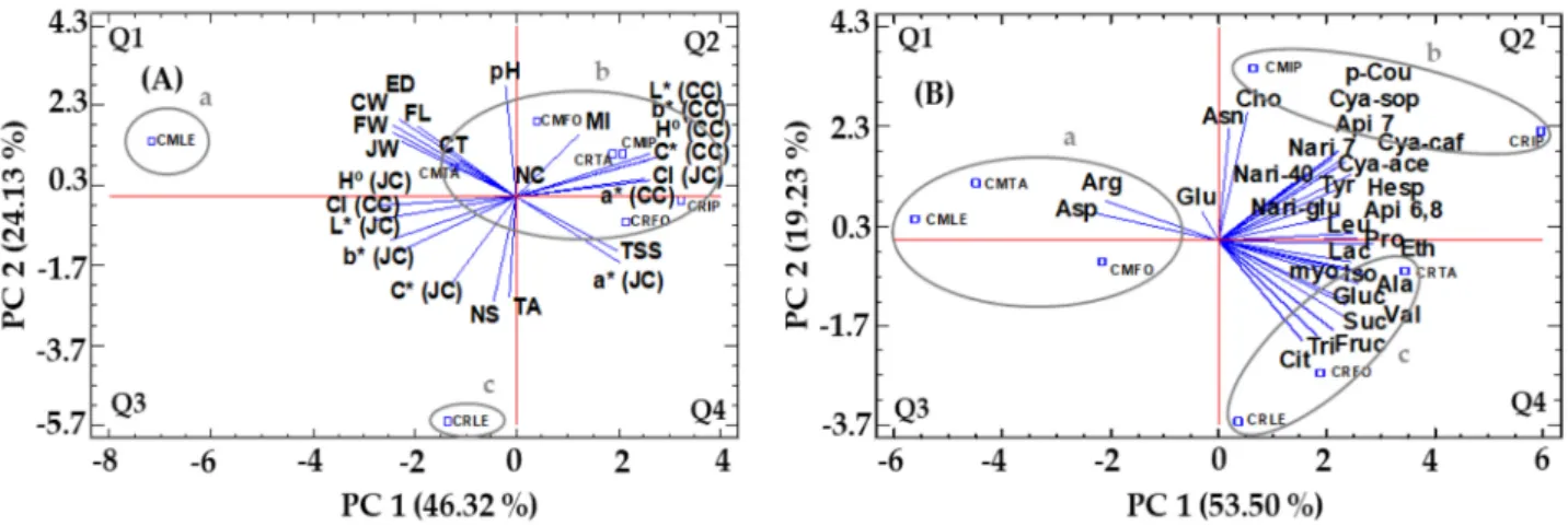 Figure 4. Principal component analysis of morphological and quality parameters (A) and in- in-dividual amino acids, organic acids, sugars, phenolic compounds and other metabolites (B) in juice of four blood orange cultivars grafted onto Citrus macrophylla 