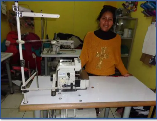Figura 1. Entrega de Capital Semilla – 2015 