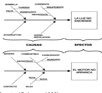 Ilustración 2. Diagrama causa - efecto 