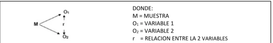 Figura 2  Tipo de diseño