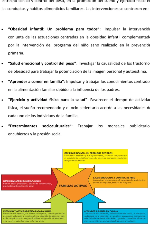 Figura 8: Componentes del programa educativo. Elaborado por Fernandez, S et al. 
