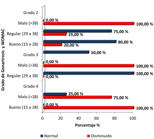 GRÁFICO Nro. 09 