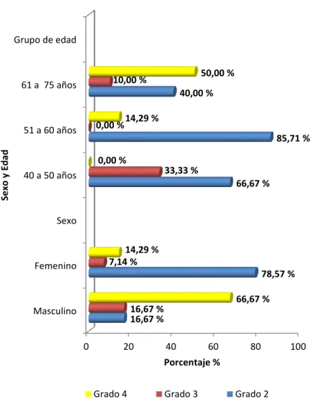 GRÁFICO Nro. 12 