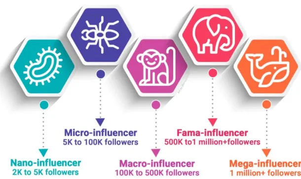 Imagen 1: Categorías de influencers 