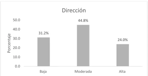 Figura 4 : Niveles de la Dimensión Dirección  