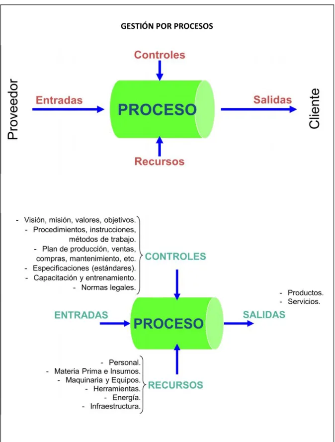 FIGURA Nº 6