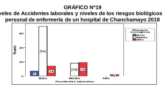 GRÁFICO Nº19 