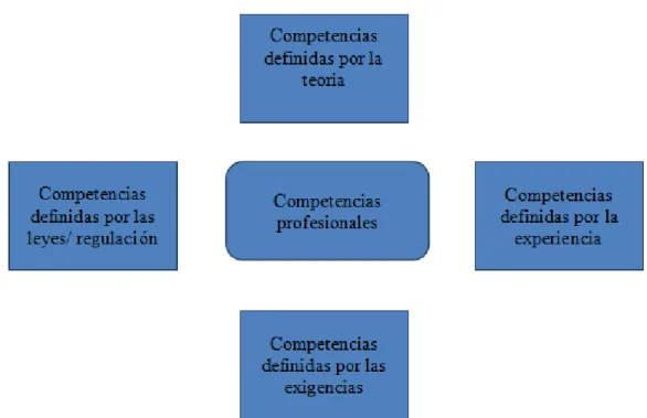 Figura 5. Competencias profesionales. 