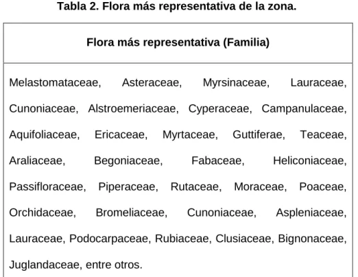 Tabla 2. Flora más representativa de la zona. 