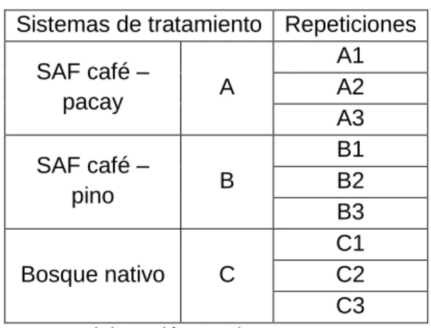 Tabla 4. Codificación del diseño experimental. 