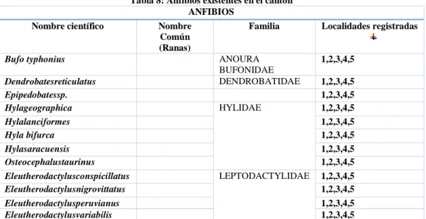 Tabla 8: Anfibios existentes en el cantón  ANFIBIOS 