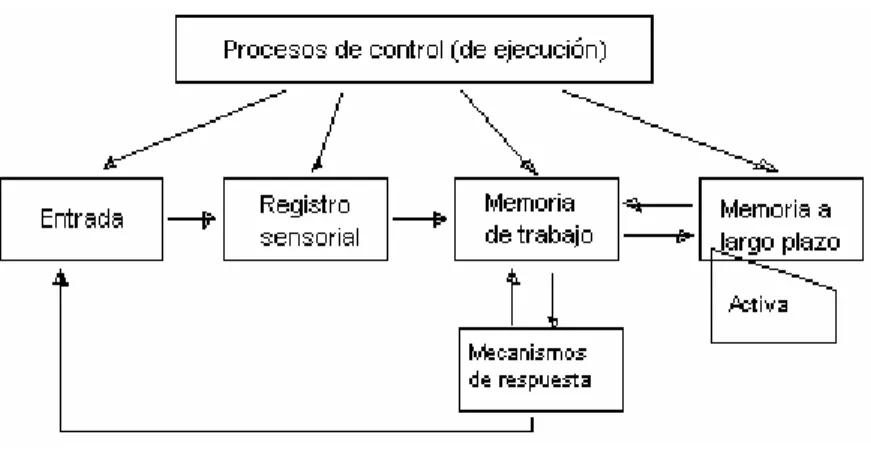 Figura nº 1: Funciones implicadas en el aprendizaje 