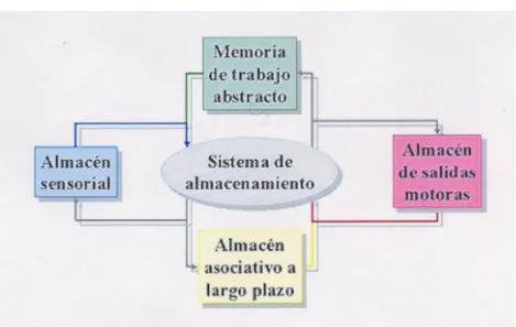 Figura nº 4: Modelo estructural de Broadbent 