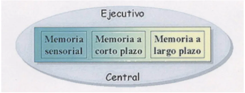 Figura nº 5 : Modelo de Cowan 