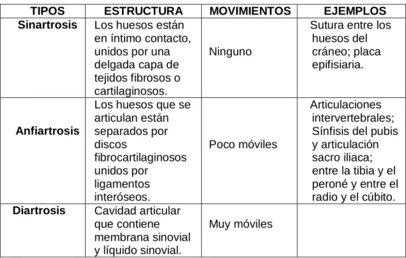 Cuadro Nº 1 