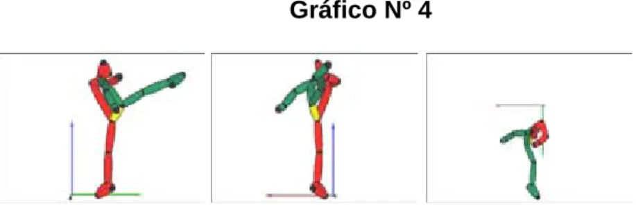 Gráfico Nº 4 