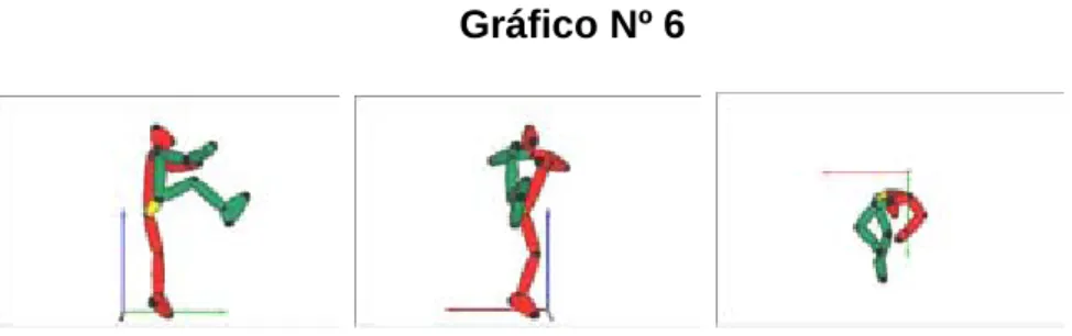 Gráfico Nº 6 