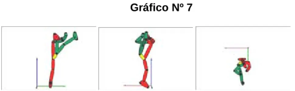 Gráfico Nº 7 