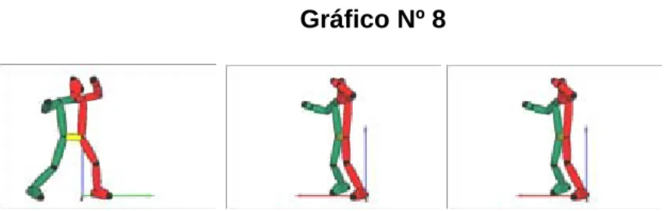 Gráfico Nº 8 