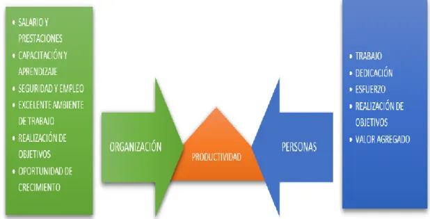 Figura 3: Infografía, Explicación sobre la Teoría de la administración (2009) 