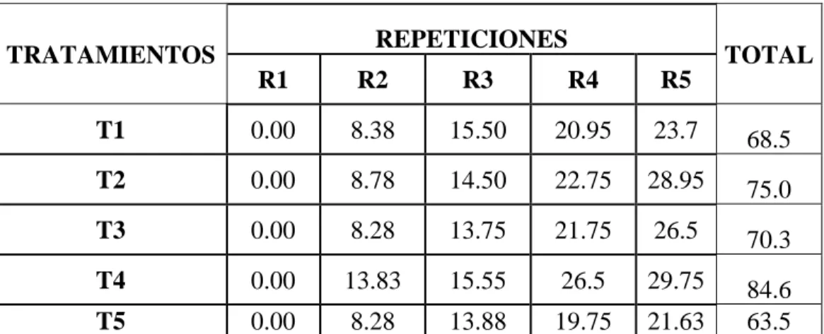 Cuadro 07: Evolución de la longitud de los brotes hasta los 100 días 