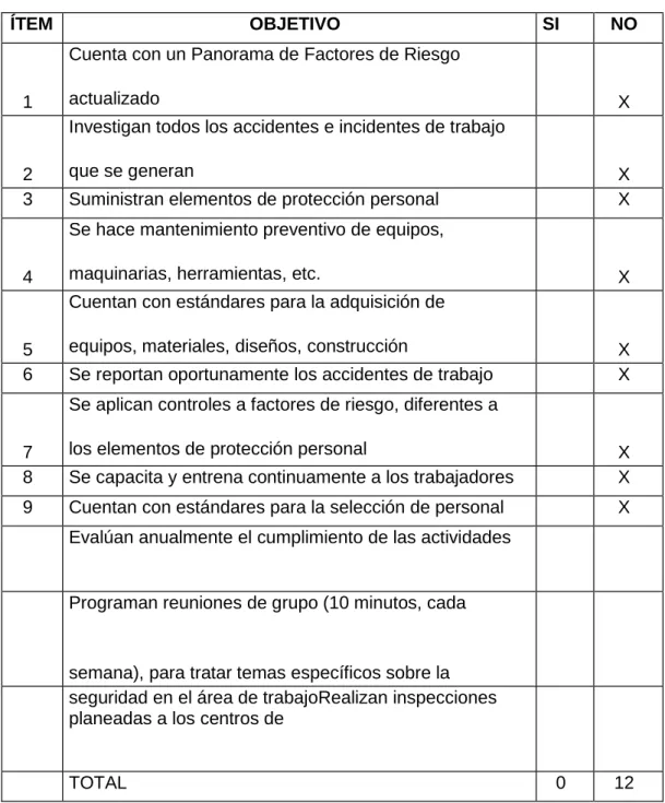 Tabla N° 04 Puntos de Intervención 