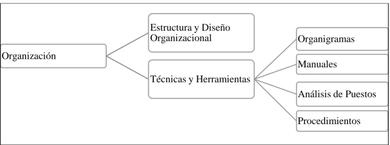 Figura 2   Organización 