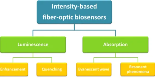 Figure 1. Schematic of the intensity-based optical fiber biosensors analyzed in this review