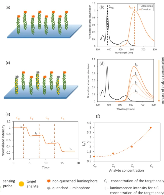 Figure 3. Working principle of a luminescence quenching-based optical fiber biosensor