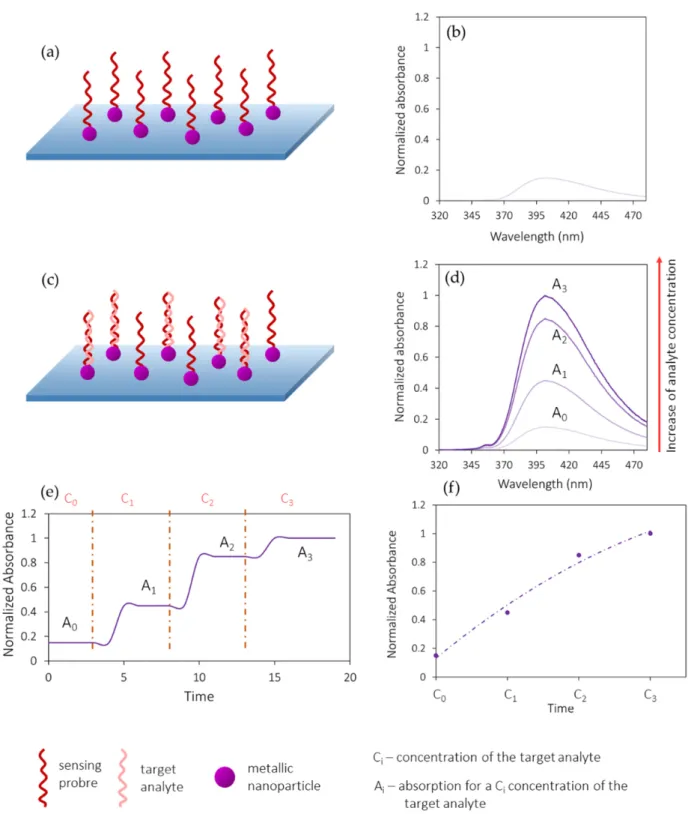 Figure 5. Working principle of an absorption-based optical fiber biosensor. (a) Fiber coated with a  metallic nanoparticle-labelled bioreceptor