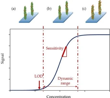 Figure 6. Sensitivity, limit of detection and dynamic range of a calibration curve. (a) The LOD is  the minimum detectable concentration of the analyte, (b) the dynamic range is limited by the LOQ  and the upper limit and (c) over the upper limit, the bior