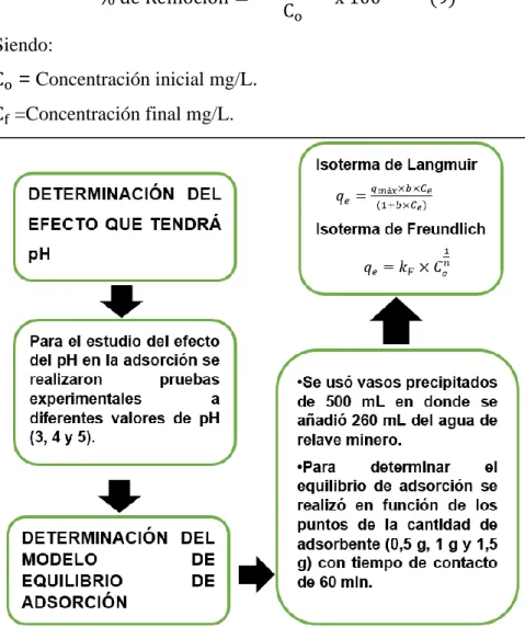 Figura 6. Determinación del equilibrio de adsorción. 
