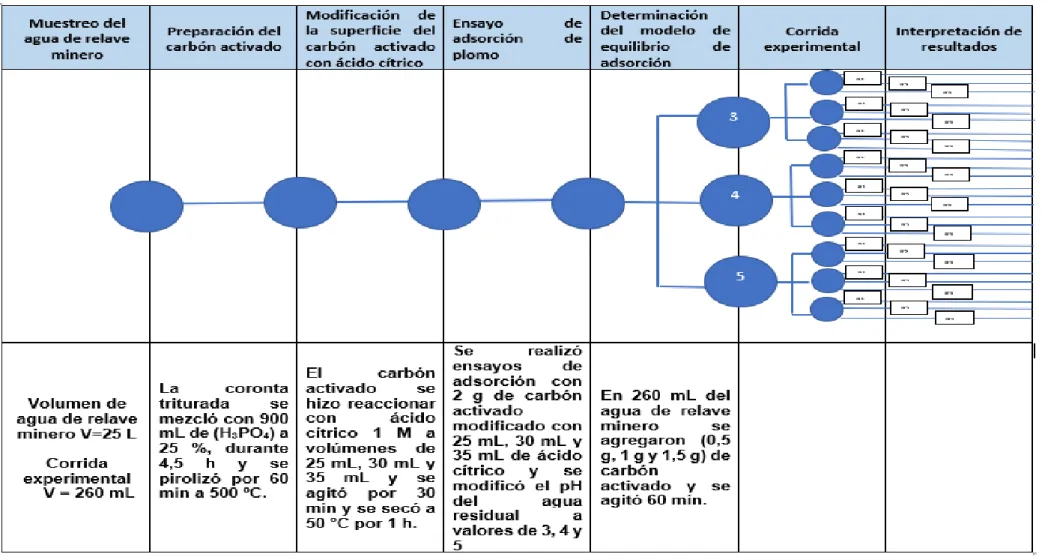 Figura 7. Esquema experimental. 