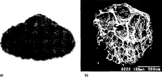 Fig.  01.- a)  Una forma de Carbón  Activado Comercial  (1°G) 