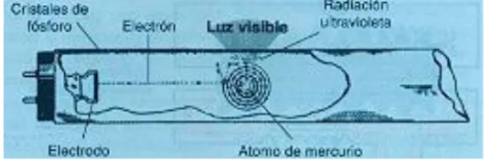 Figura 3. Lámpara Fluorescente. 