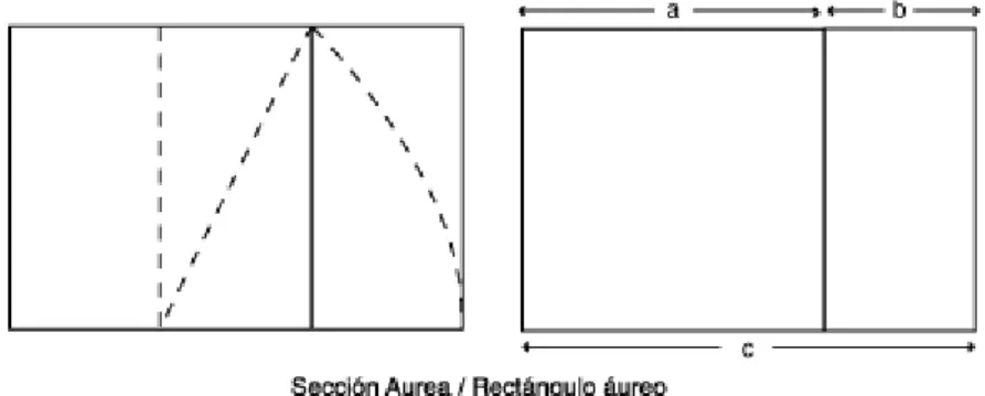 cuadro  y  usando  la  diagonal  de  una  de  sus  mitades  como  radio  para  ampliar  las  dimensiones  del  cuadrado  hasta  convertirlo  en  "rectángulo  áureo"