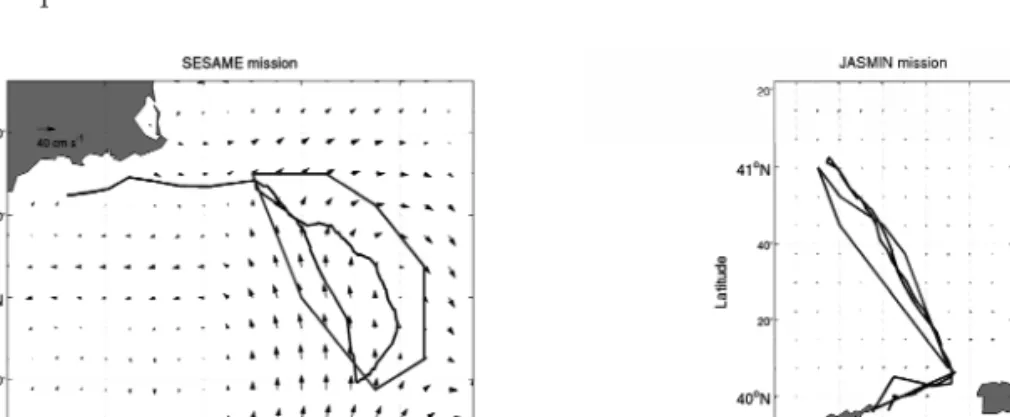 Figure 7. SESAME and JASMIN planned paths on altimetry derived current field.