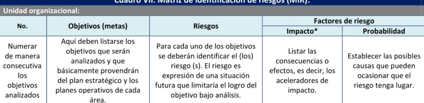 Cuadro VII: Matriz de identificación de riesgos (MIR).