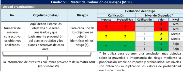 Cuadro VIII: Matriz de Evaluación de Riesgos (MER).